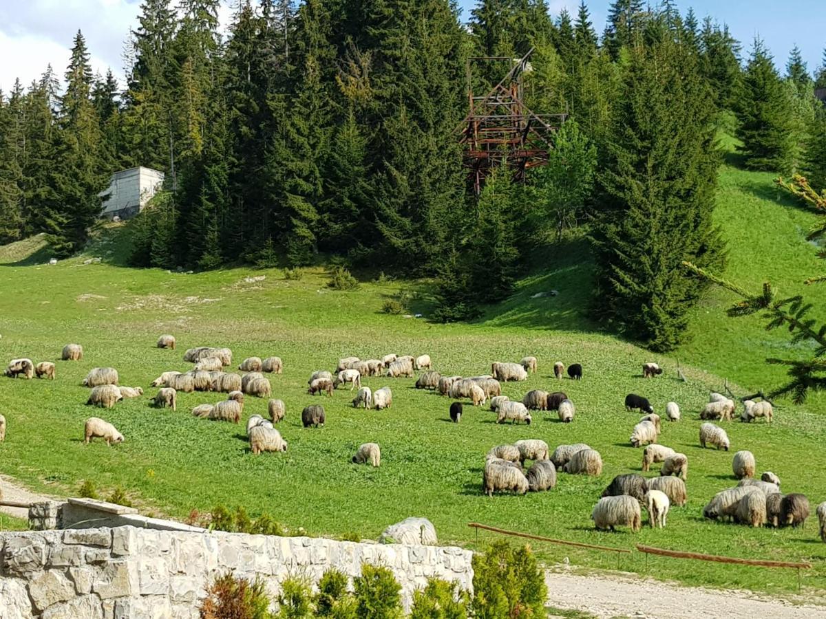 Enjoy The Silence Holiday Home Vlasic Buitenkant foto